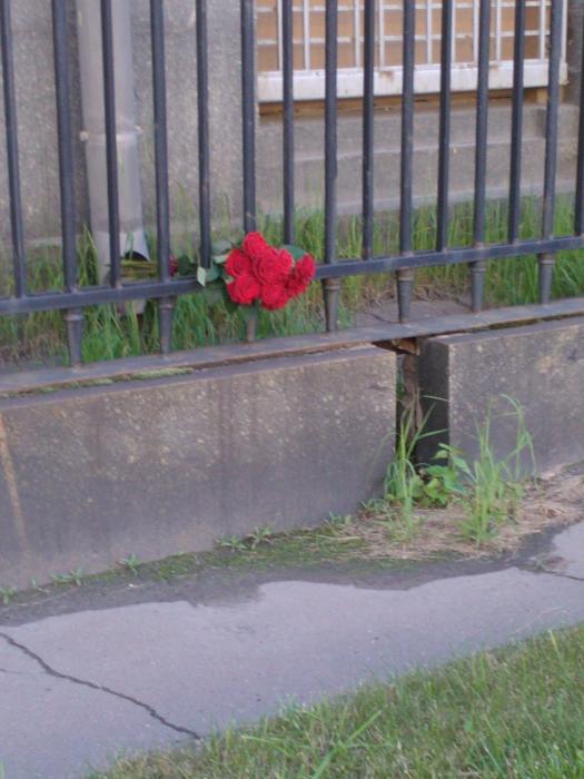 Цветы у ограды